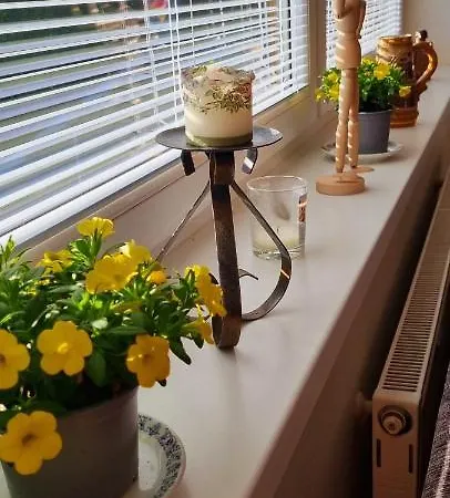 Mountain Village Pinewood ***